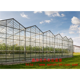 现代化玻璃温室 异型玻璃温室 绿色玻璃温室 贵州承建