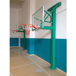 升降篮球架品牌-峰荣健身器材厂家-潮州升降篮球架