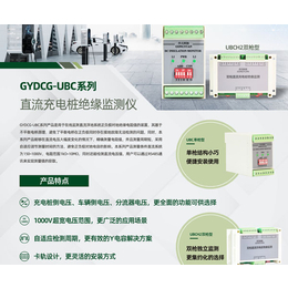 CCS标准绝缘监测-绝缘监测-北京共元科技(查看)