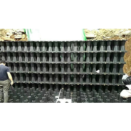 江苏洁水神化粪池(图)-雨水收集模块生产企业-太仓雨水收集