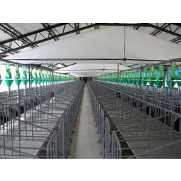 养殖温室大棚-德力畜牧机械-养殖温室大棚建造
