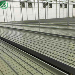 温室热镀锌苗床网详细*-质量可靠生产商