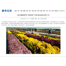 园林绿化景观设计-上海景观设计-南京德之助展览
