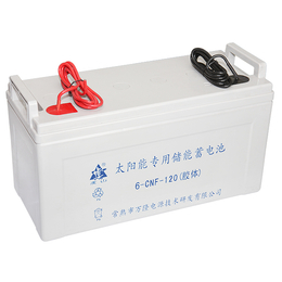 莱芜蓄电池-UPS免维护蓄电池-万隆电源(推荐商家)