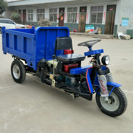 金明机械(图)-农作物运输柴油车-柴油车