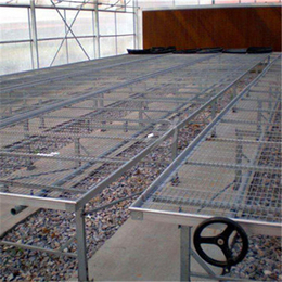 3.0钢丝苗床网承重-加密移动苗床加工-温室物资厂