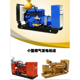 燃气发电机组-济南瓦特有限公司-燃气发电机
