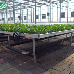 基于植物需求优化灌溉策略温室灌溉式苗床 