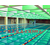 太原儿童游泳-太原儿童游泳培训费用-京沙潜水(推荐商家)缩略图1