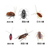 合肥灭蟑螂-安徽优吉盛技术服务-餐饮灭蟑螂缩略图1