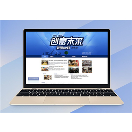 网站优化多少钱-启强科技(在线咨询)-扬州网站优化