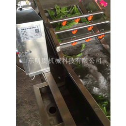山东明贵机械(图)-蔬菜清洗机价格-神农架林区蔬菜清洗机