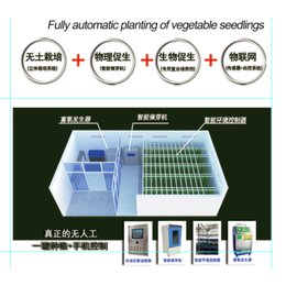 迪生自动化设备公司-三伏潭镇100斤芽苗菜机器