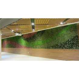 绿植隔断墙定做-美尚园艺-品质保证-泸州绿植隔断墙
