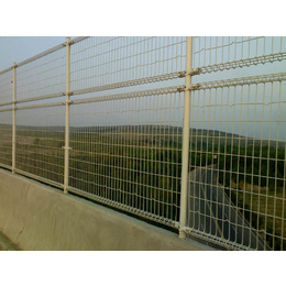 广东东莞桥梁防抛网铁路隔离围栏小区园林绿化隔离带护栏