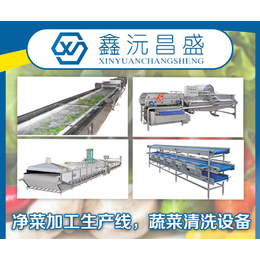 广州蔬菜清洗设备-鑫沅昌盛-广州蔬菜清洗设备厂家