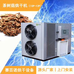 江西茶树菇干燥设备-茶树菇干燥设备生产厂家-2020全新升级