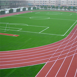 硅PU新型球场-天津*体育设施公司-硅PU新型球场造价