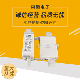 全新巴斯曼熔断器170M1558现货直发