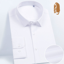 职业衬衫-庄臣服饰口碑厂家-纯色职业衬衫