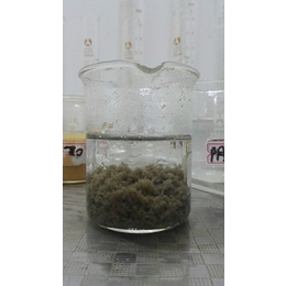 洗砂污水处理-新奇化工厂-郴州污水处理