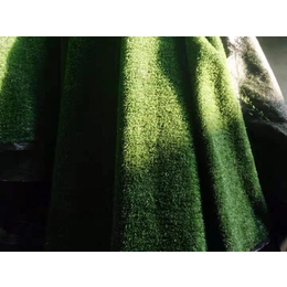 花园人造草坪-巨东化纤(在线咨询)-瓜州人造草坪
