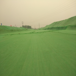 防尘网厂家*2.5针3针6针绿色盖土网 工程绿化盖土防尘网