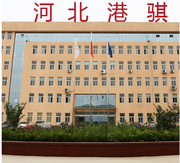 河北港骐环保科技有限公司