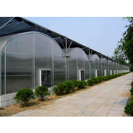 温室大棚|农业温室大棚工程青州古润技术好|温室大棚技术