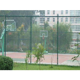 篮球场围网价格-安平鹏威(在线咨询)-浙江篮球场围网