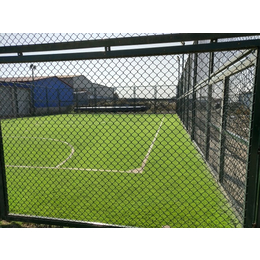 足球场人造草坪-世纪宏达体育-足球场人造草坪铺设