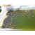 泥鳅苗-濮阳有良水产养殖-哪里能买到泥鳅苗缩略图1