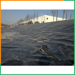 潍坊土工膜-土工膜(在线咨询)-垃圾覆盖光面HDPE土工膜