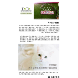 猫咪-猫咪火化费用-达达宠物生命纪念馆