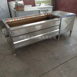 河南毛辊清洗机设备现货-蓝晶机械有限公司