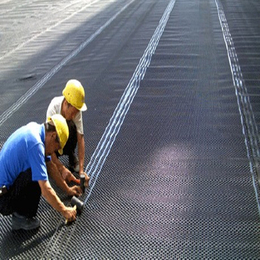 3米宽屋面种植绿化卷材排水板 20高屋顶绿化塑料排水板