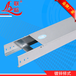 喷塑线槽-联标桥架细心-镀锌喷塑线槽价格