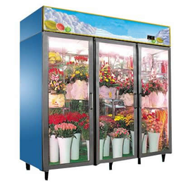 【河南冰源制冷设备】(图)-鲜花柜品牌-孟州鲜花柜