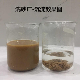 絮凝剂厂家-沉淀药剂-造纸污水沉淀药剂