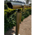 投币望远镜-昆明投币望远镜品牌-云南艾旅光电科技有限公司缩略图1