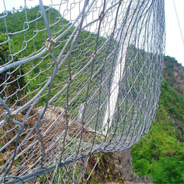 边坡防护网安全生产厂家-衡沥网业(在线咨询)-边坡防护网