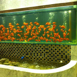 酒店鱼缸制作-日出水族您的选择-丽水酒店鱼缸