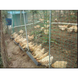 临沂养殖铁丝网-超兴养殖铁丝网(图)-养殖场养殖铁丝网