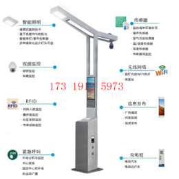 升级款定做智慧城市路灯杆LED景观灯可调光充电桩道路灯杆