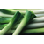 湖南蔬永农产品公司 长沙蔬菜配送公司 大葱批发配送 生鲜配送 缩略图2