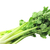 湖南蔬永农产品公司 长沙蔬菜配送公司 生鲜配送 食食材配送缩略图3