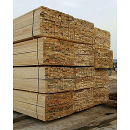 白松建筑木方生产厂家-白松建筑木方-博胜木材(在线咨询)