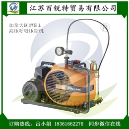 ECOWELL轻巧便携式压缩机 C06I-P2高压呼吸充气泵 