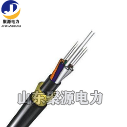 电力通信光缆24芯PE护套ADSS光缆缩略图