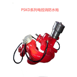 PSKD60电控消防水炮 化工码头带遥控器和控制箱 消防3C